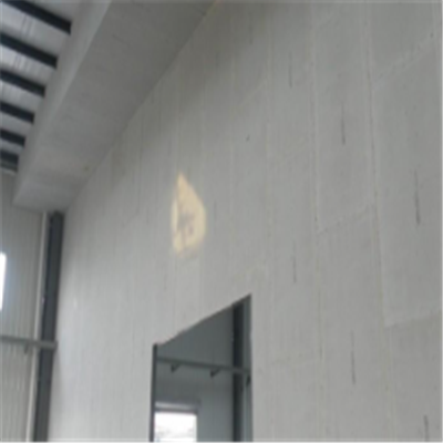 曲江宁波ALC板|EPS加气板隔墙与混凝土整浇联接的实验研讨
